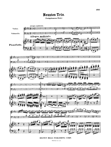 Piano Trio No. 9 (Ohne Opus)