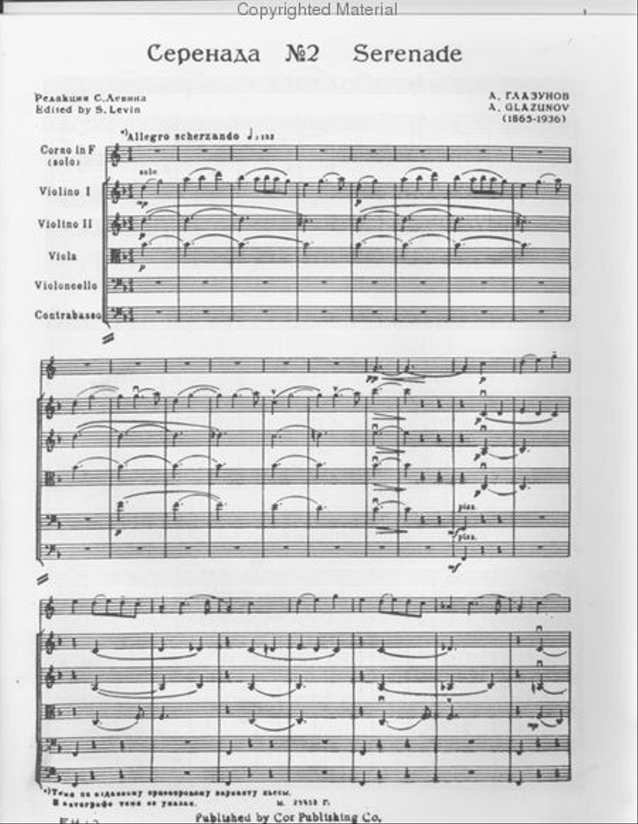 Serenade No.2 String Orchestra scores gallery preview page 2