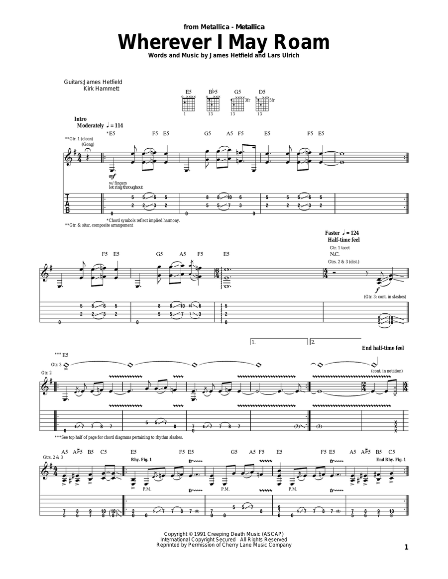 Wherever I May Roam Acoustic Guitar scores gallery preview page 1