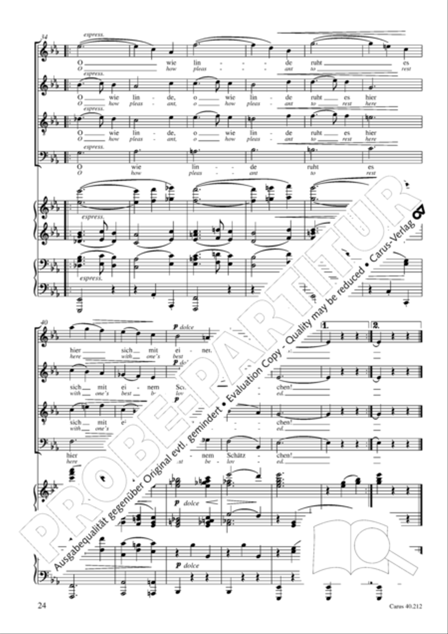 Neue Liebeslieder-Walzer, Op. 65 Choir scores gallery preview page 25