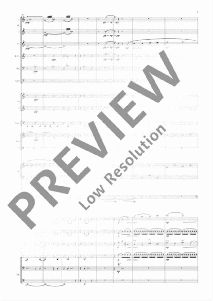 Double Bass Concerto Double Bass Concerto 3-Part scores gallery preview page 10