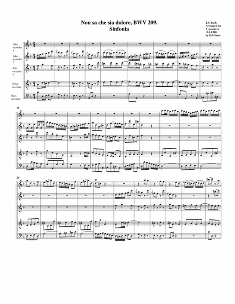 Sinfonia from Cantata BWV 209 (arrangement for 5 recorders)