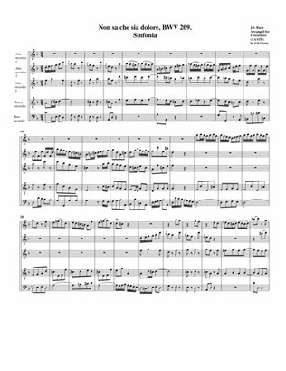 Book cover for Sinfonia from Cantata BWV 209 (arrangement for 5 recorders)