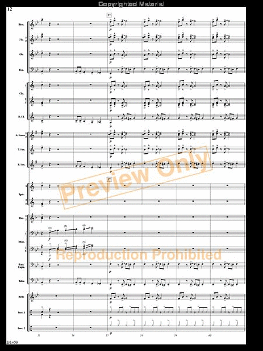 Trombone Tiger Rag Trombone Tiger Rag Concert Band scores gallery preview page 11