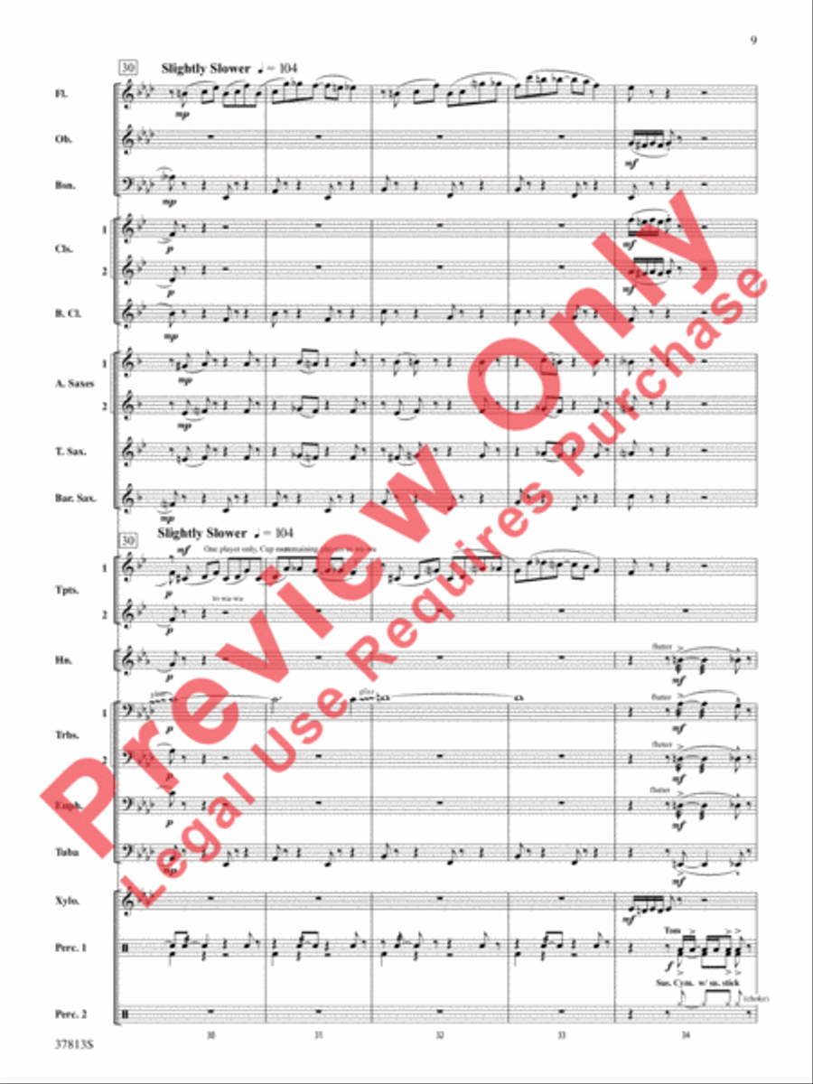 Ants in My Pants Concert Band scores gallery preview page 9