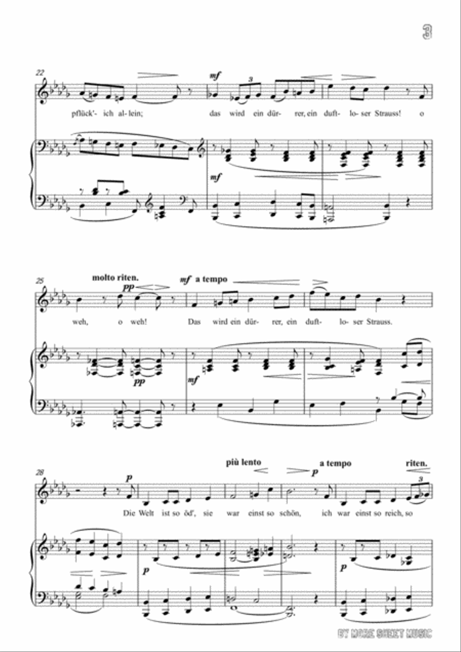 Franz-Im Herbst in b flat minor,for voice and piano Voice Solo scores gallery preview page 5
