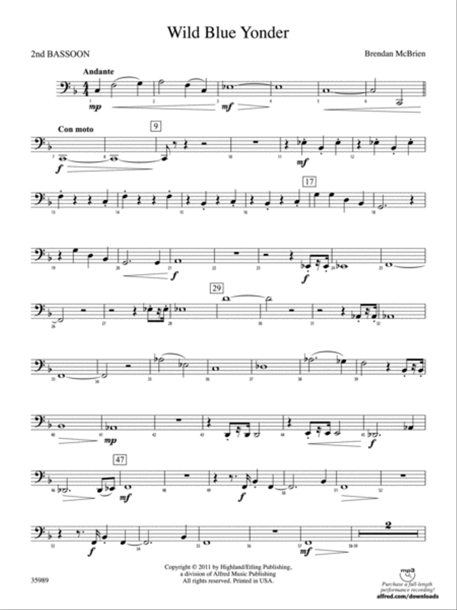 Wild Blue Yonder: 2nd Bassoon Full Orchestra scores gallery preview page 1