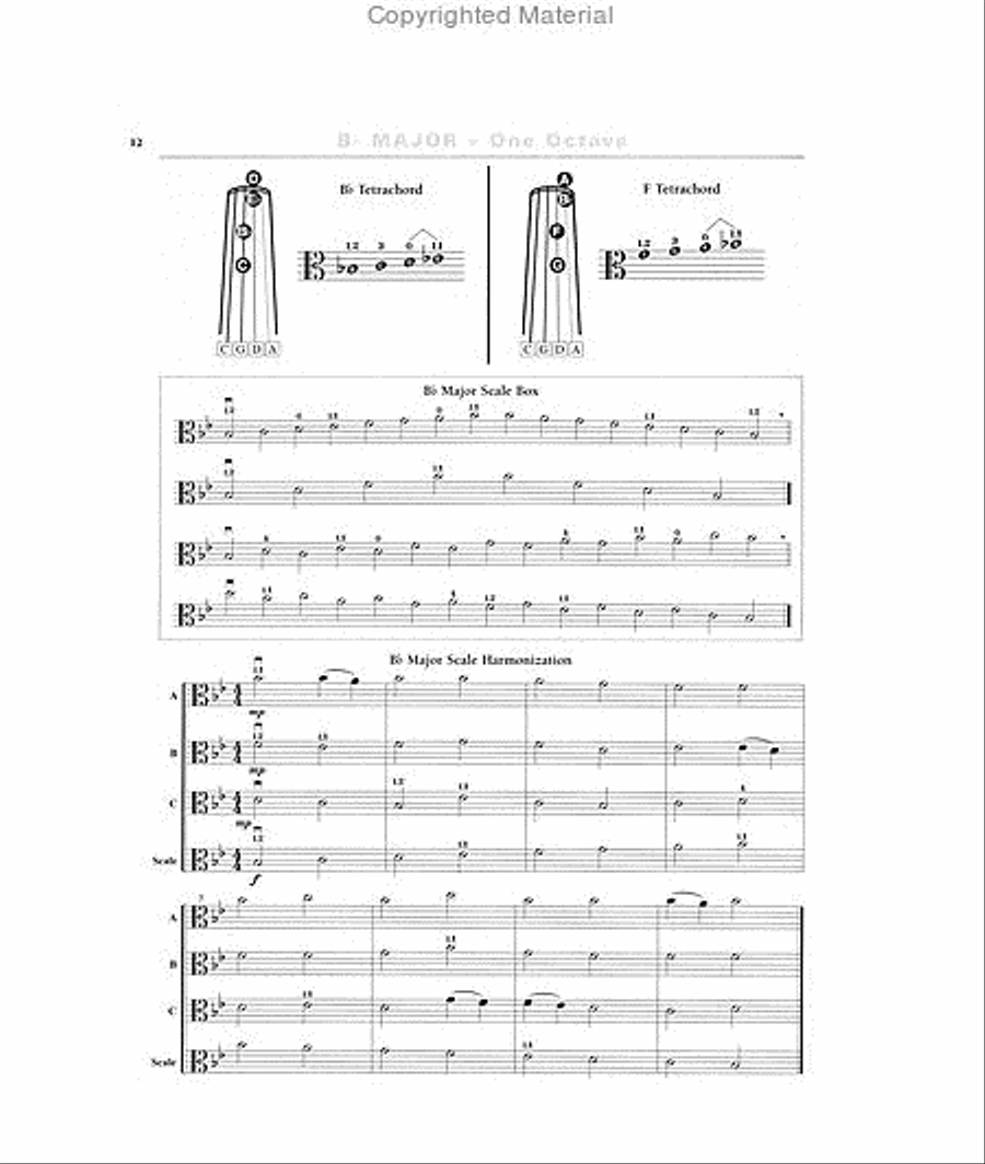 A Scale in Time, Viola Chamber Orchestra scores gallery preview page 5