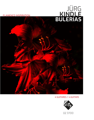 Book cover for Flamenco Inspiration - Bulerias