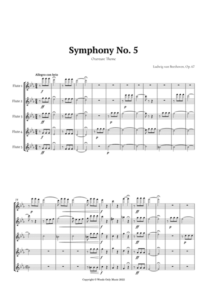 Symphony No. 5 by Beethoven for Flute Quintet image number null