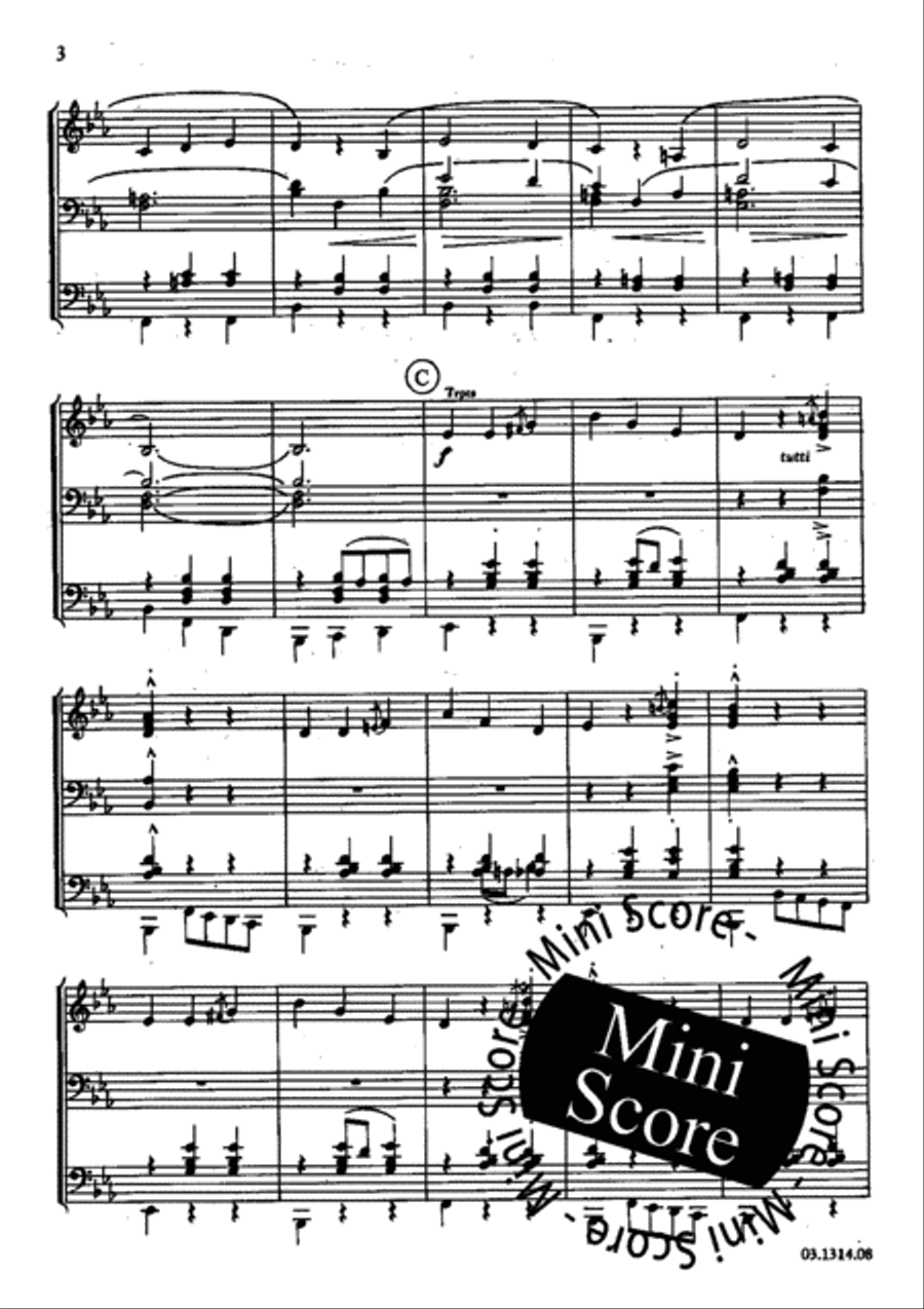 Danzas Folcloristicas Danzas Folcloristicas Concert Band scores gallery preview page 6