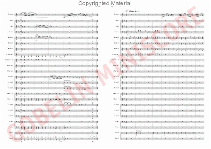 The Trouble with the Tuba is. Concert Band scores gallery preview page 6