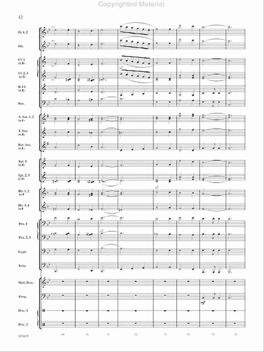 Polaska Przeplatanka Concert Band scores gallery preview page 13