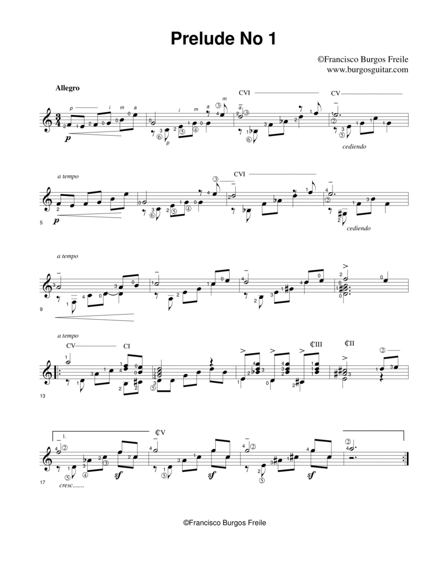Prelude 1 Acoustic Guitar scores gallery preview page 1