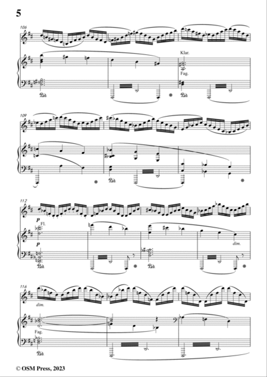 Brahms-Violin Concerto in D Major,Op.77 Violin Solo scores gallery preview page 6