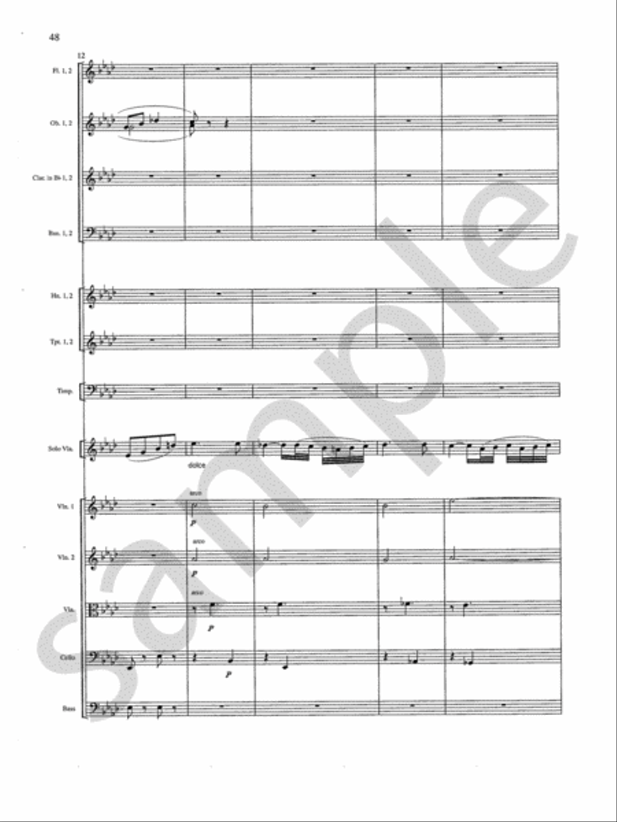 Concerto Orchestra scores gallery preview page 9