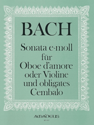 Book cover for Sonata in E minor nach BWV 528