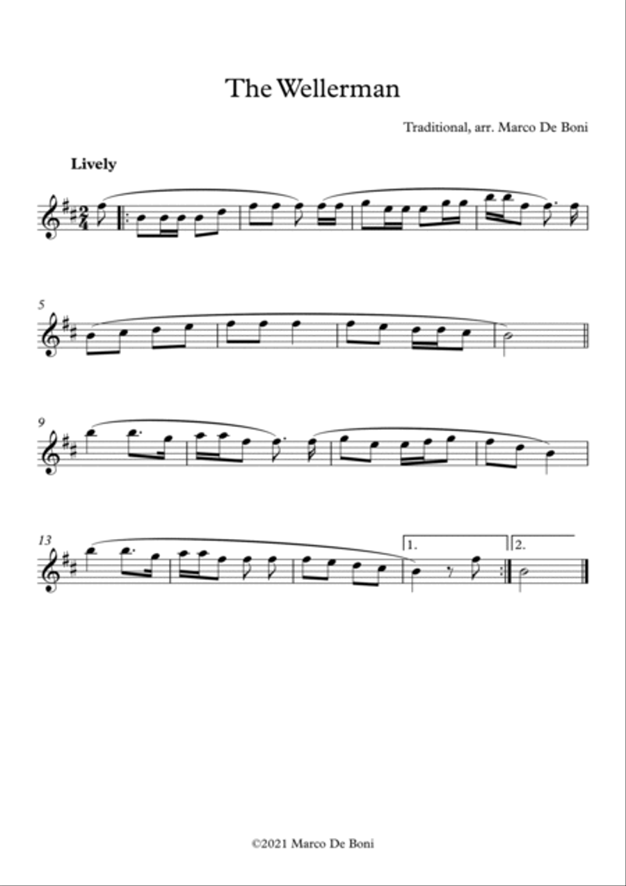 The Wellerman (Traditional Sea Shanty): easy flute arrangement Flute Solo scores gallery preview page 1