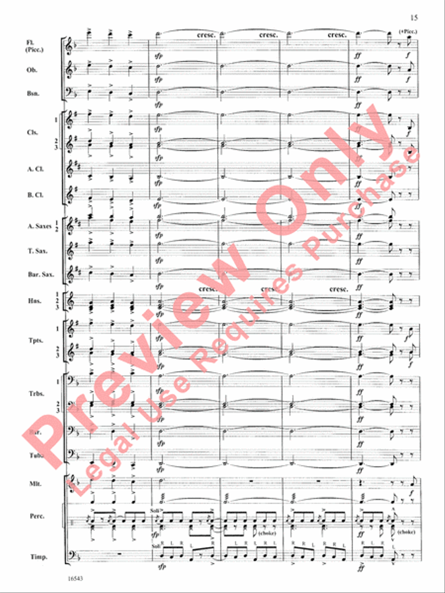The Emerald Isle Concert Band scores gallery preview page 16