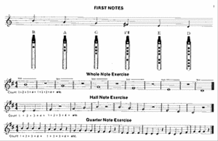 Tin Whistler's Companion Tin Whistler's Companion Flute scores gallery preview page 3