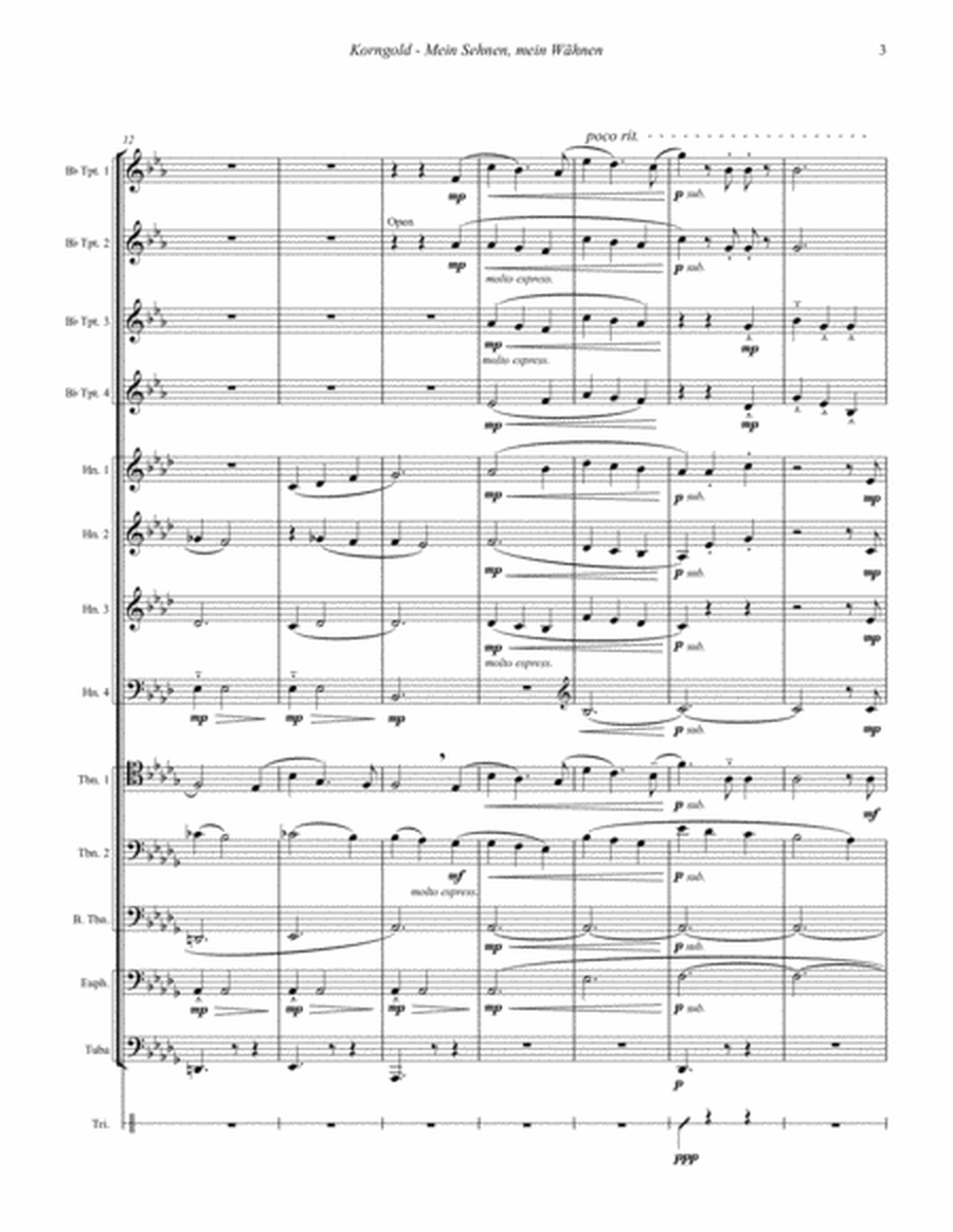Mein Sehnen mein Wähnen for 13-part Brass Ensemble and optional percussion