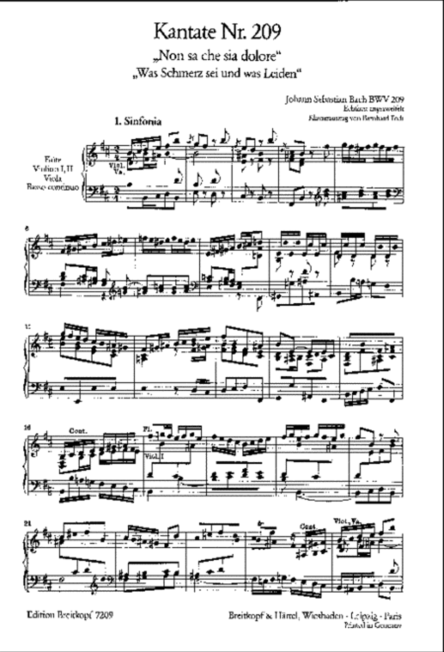 Cantata BWV 209 Non sa che sia dolore SA scores gallery preview page 2
