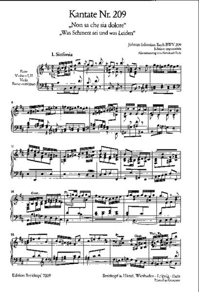Cantata BWV 209 Non sa che sia dolore