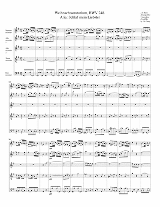 Aria: Schlaf mein Liebster from Weihnachtsoratorium (Christmas oratorio) BWV 248 (arrangement for 5
