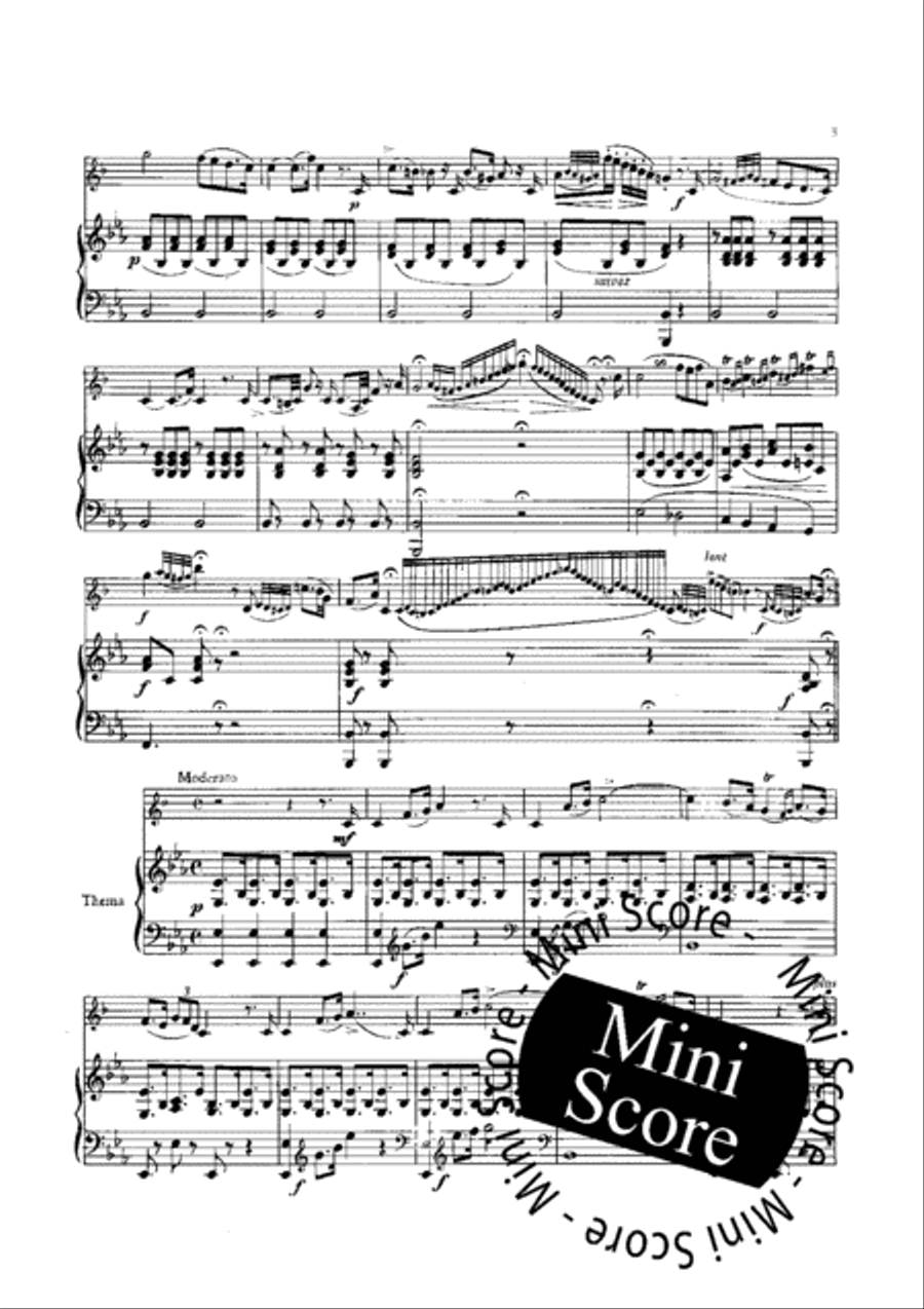Variations Brillantes Variations Brillantes Piano Accompaniment scores gallery preview page 5