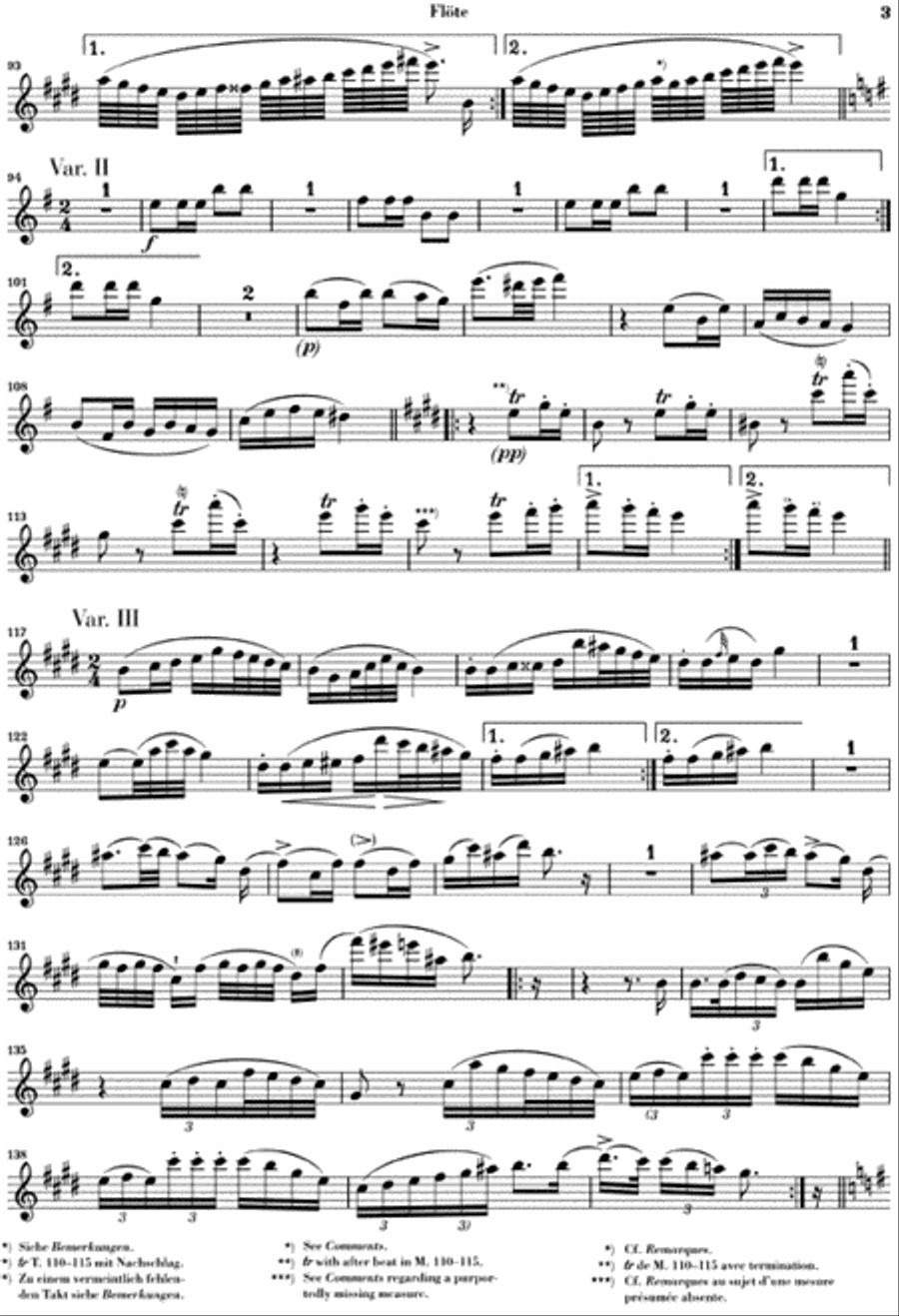 Variations on “Trockne Blumen” in E minor, Op. Posth. 160, D 802 Flute Solo scores gallery preview page 4