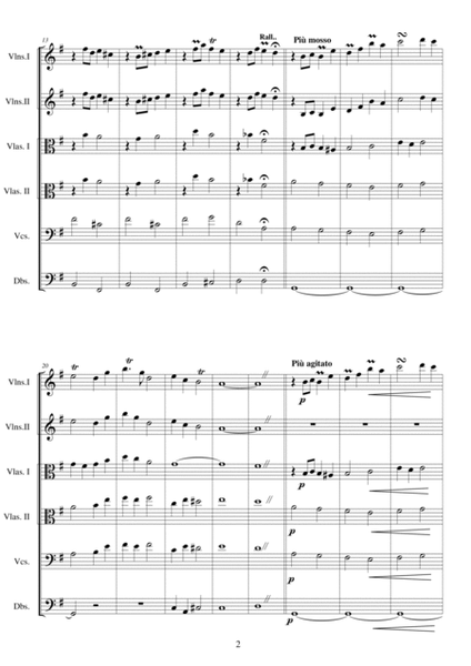 Fantasy no.6 in E minor - CS 265 for String orchestra image number null