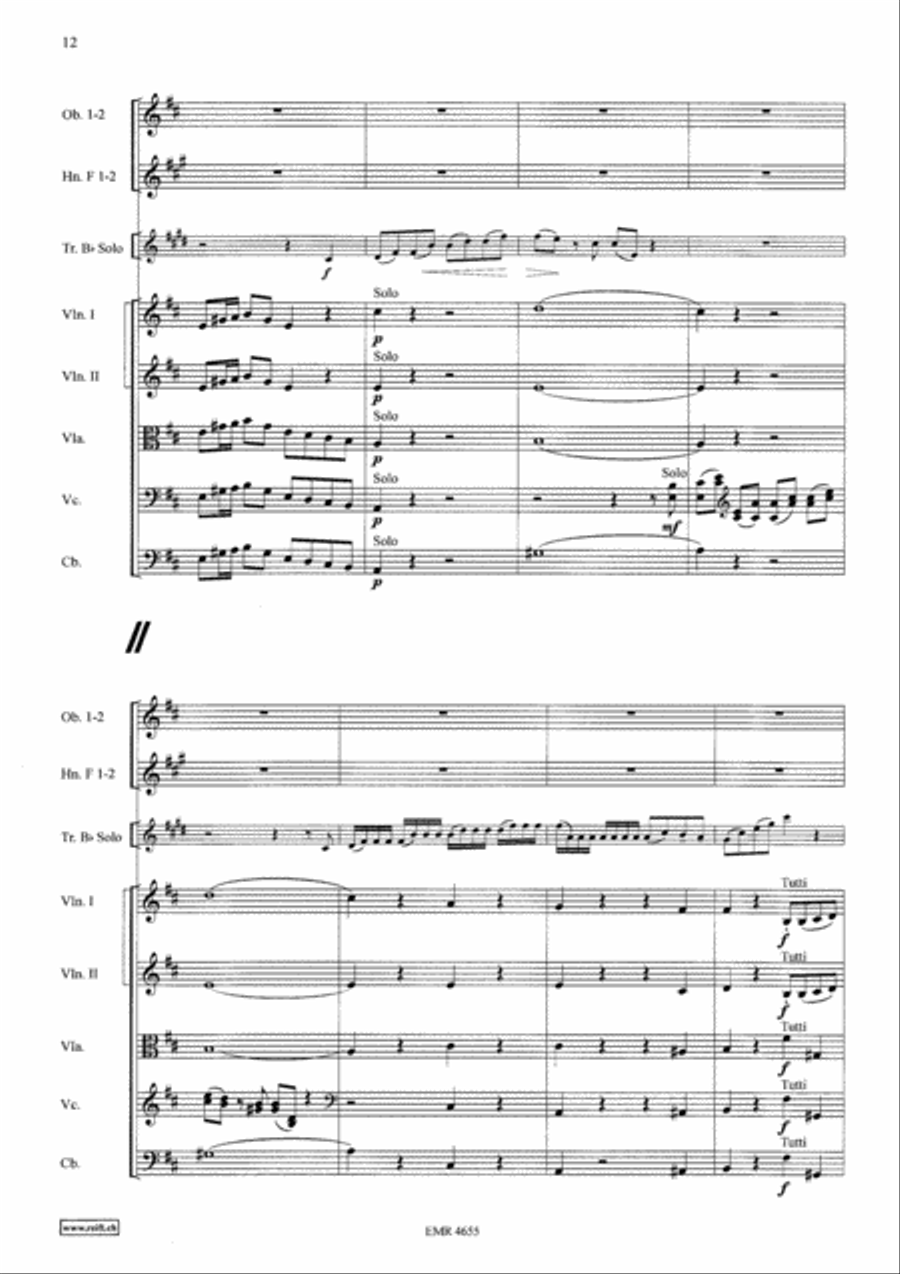 Concerto in D Major Concerto in D Major Orchestra scores gallery preview page 12