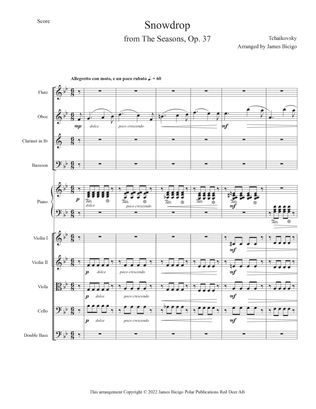 Three Winter Movements from The Seasons, Op. 37
