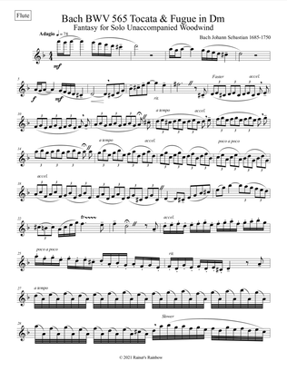 Book cover for Bach BWV 565 Tocata & Fugue in Dm Fantasy Unaccompanied Flute or Oboe or Sax