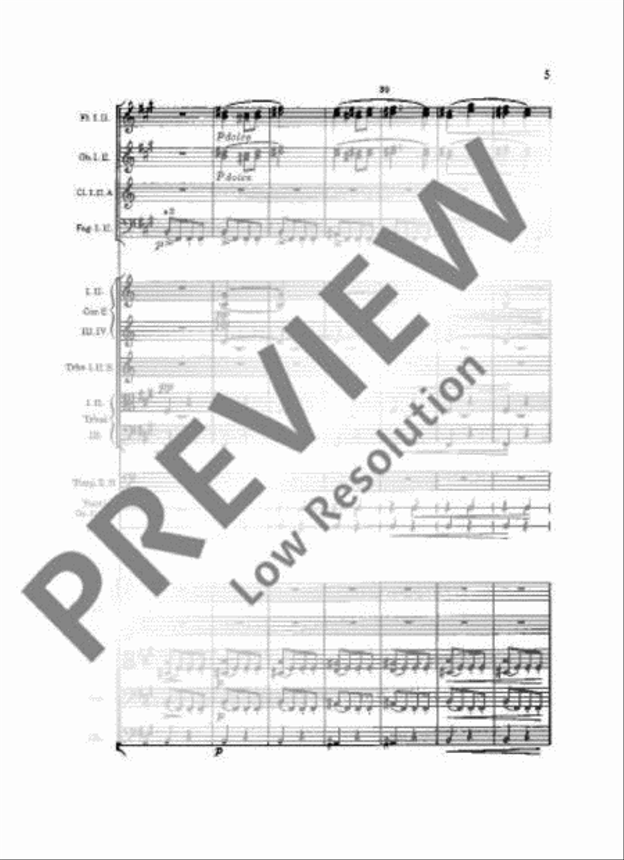 Slavonic Dances Orchestra scores gallery preview page 8