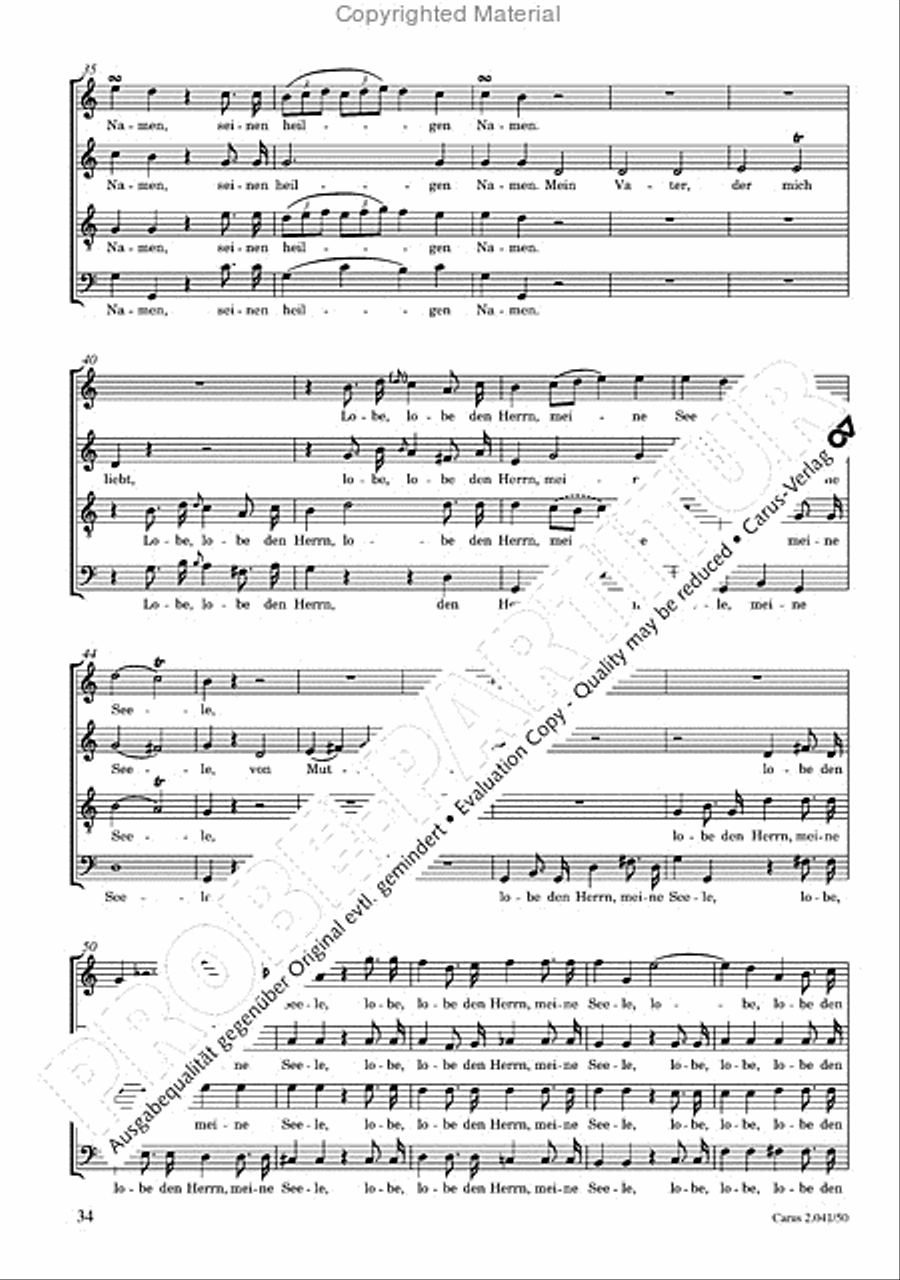 Motets and arias for choirs collected and edited by Johann Adam Hiller, vol. 5 Voice Solo scores gallery preview page 35
