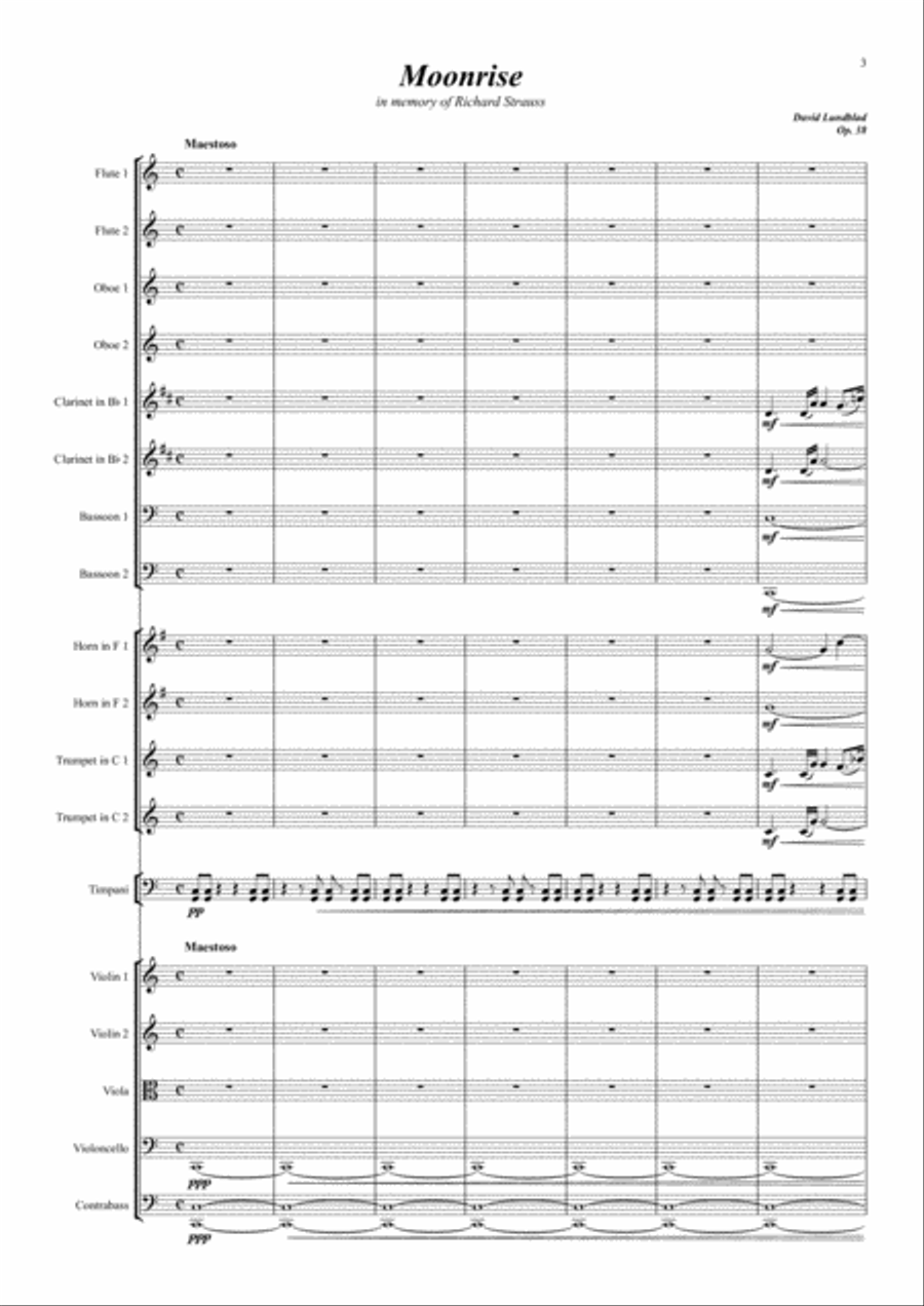 Moonrise Chamber Orchestra scores gallery preview page 3