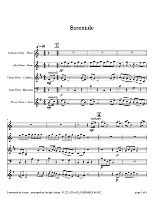 Serenade by Haydn for Woodwind Quartet in Schools