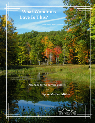 Book cover for What Wondrous Love Is This?