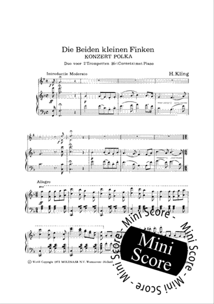 Die Beiden Kleinen Finken Piano Accompaniment scores gallery preview page 4