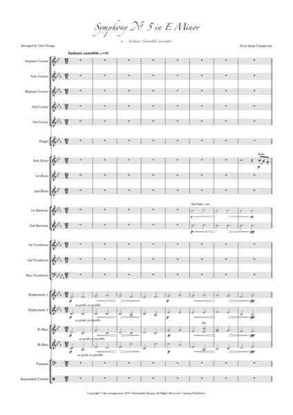 Symphony No. 5 - Mvt. II (excerpt) image number null