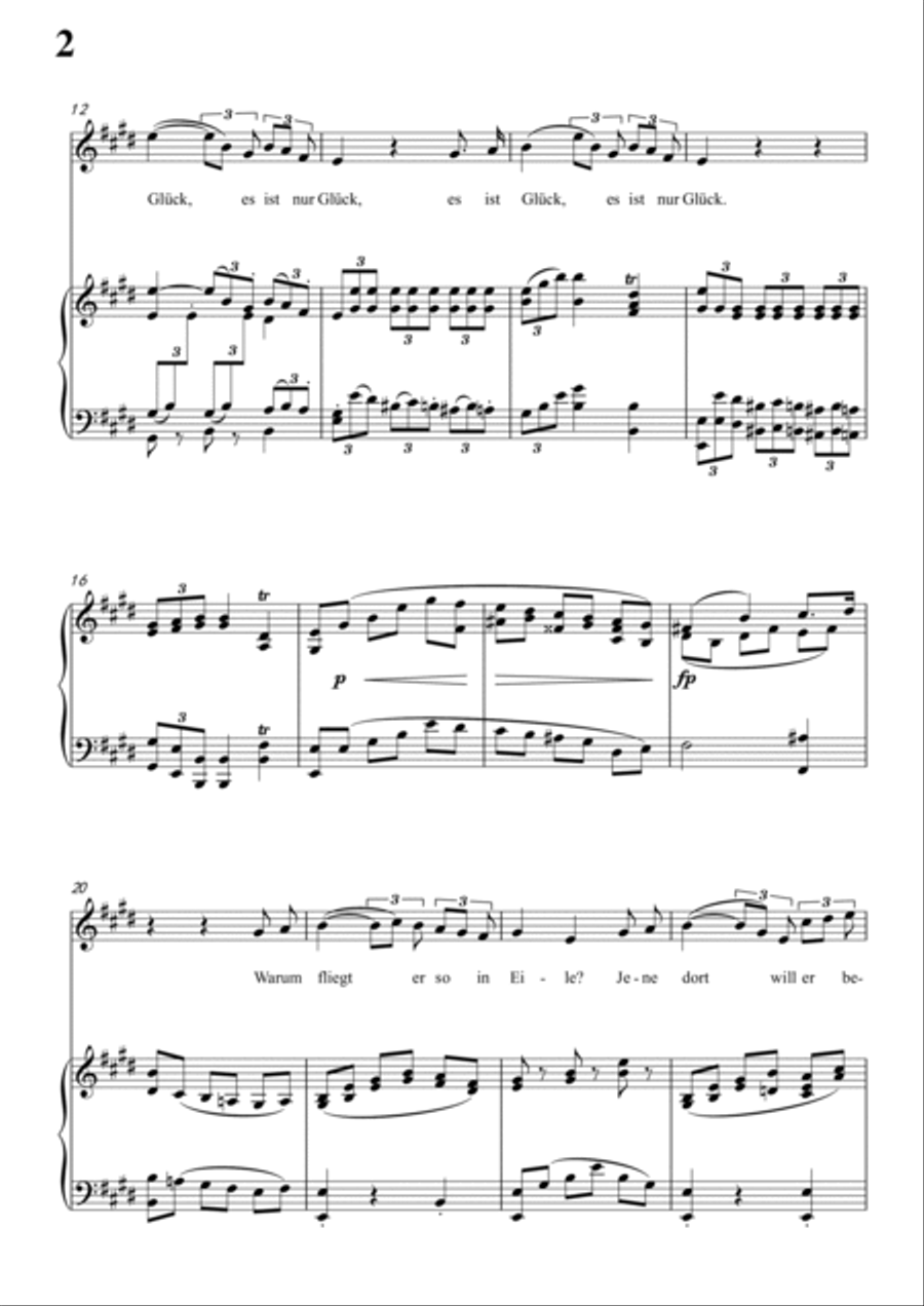 Schubert-Hinund wieder fliegen Pfeile in E for Vocal and Piano Voice scores gallery preview page 3