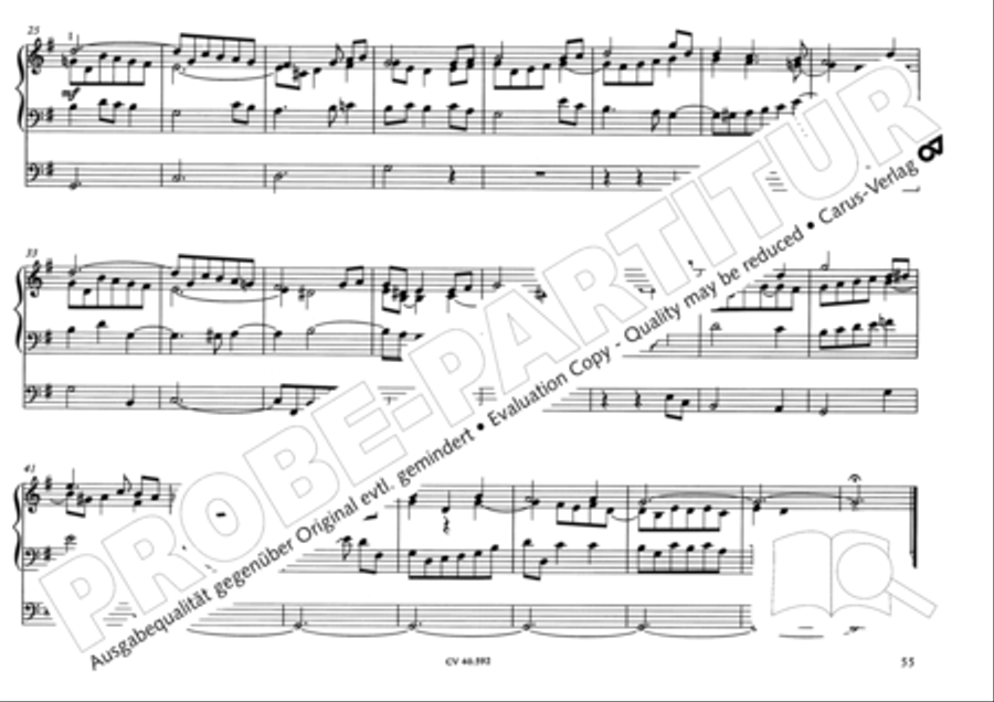 Free Organ Music from the Romantic Period, Vol. II (Freie Orgelmusik der Romantik, Band II) Organ scores gallery preview page 56
