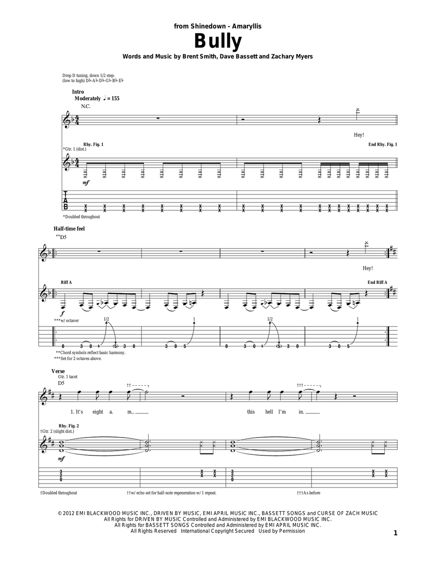 Bully Bully Acoustic Guitar scores gallery preview page 1