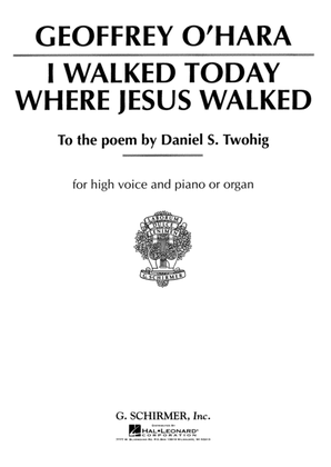 Book cover for I Walked Today Where Jesus Walked