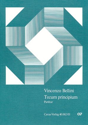 Book cover for Tecum principium