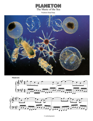 "Plankton" The Music of the Sea