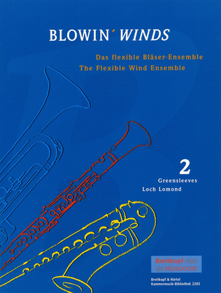 Book cover for BLOWIN' WINDS