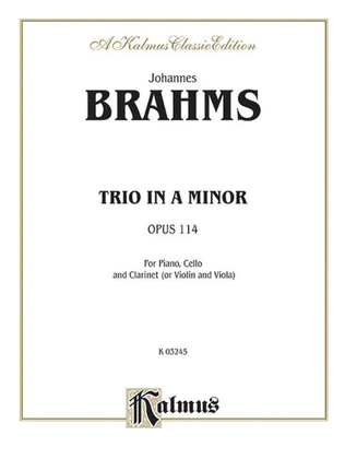 Book cover for Trio in A Minor, Op. 114