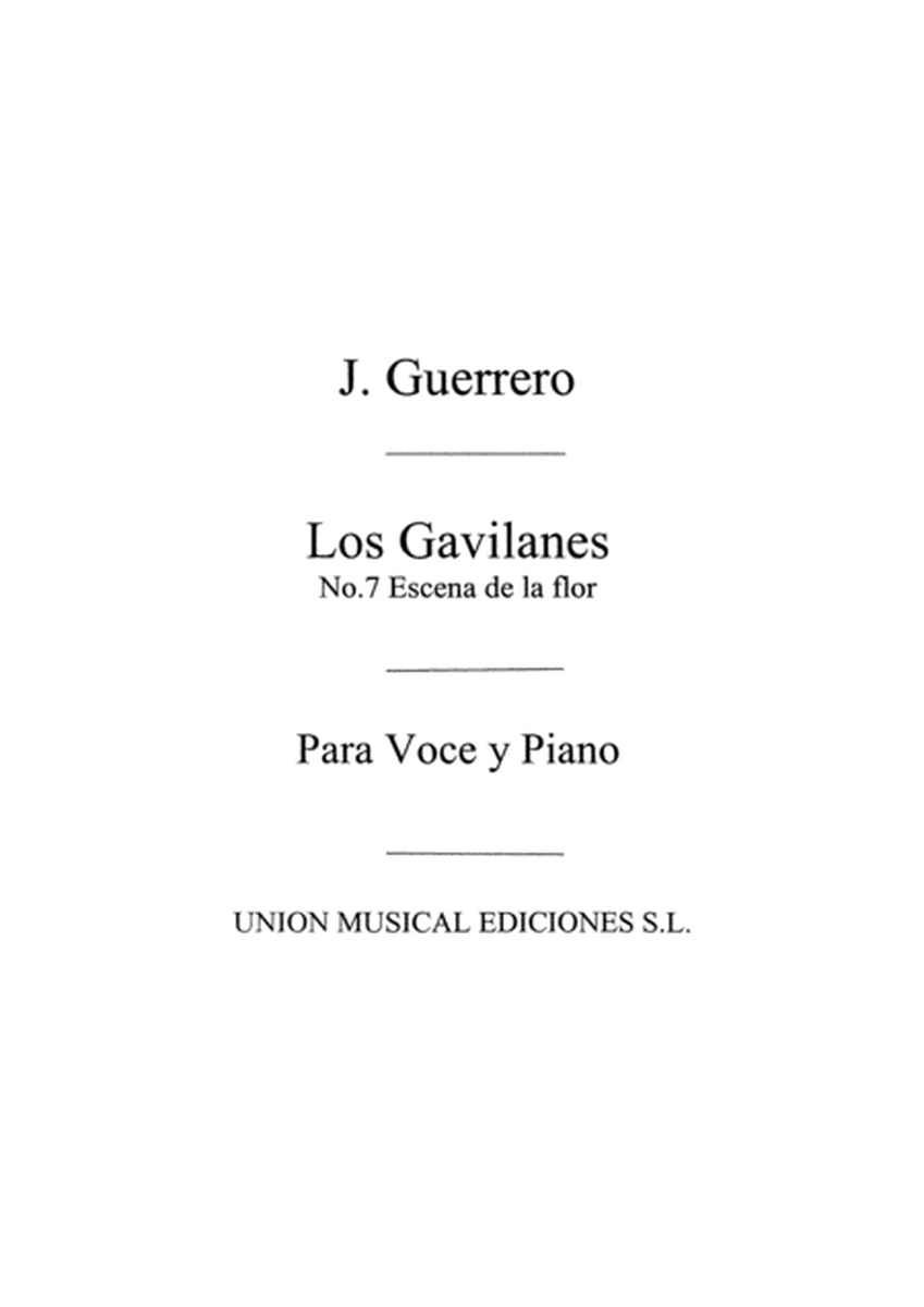 Jacinto Guerrero: Escena No.7 De Los Gavilanes